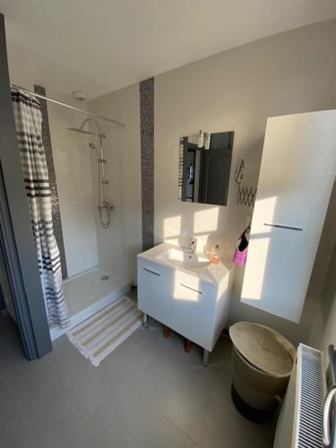 ein Bad mit einem Waschbecken, einer Dusche und einem WC in der Unterkunft La Grange du marais de Sailly-Bray in Noyelles-sur-Mer