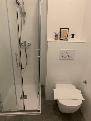 a bathroom with a toilet and a glass shower at Sara Perfect Stay Novalja in Novalja
