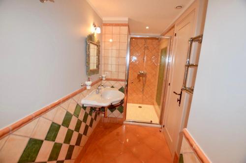 La salle de bains est pourvue d'une douche et d'un lavabo. dans l'établissement Amazing villa for rent, à Saint-Paul-de-Vence