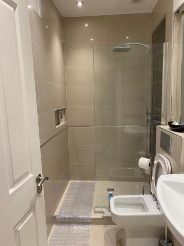a bathroom with a shower and a toilet and a sink at The Penthouse at Ty Gwyn in Llandudno
