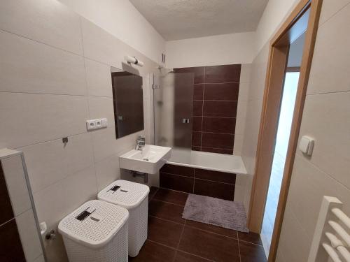 a small bathroom with a sink and a toilet at Apartmán Všemina 300 in Všemina
