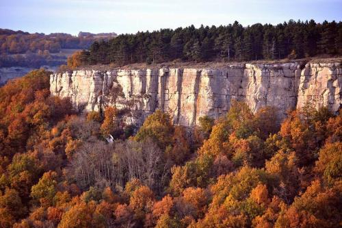 a rock cliff in the middle of a forest at Gîte de charme en Hautes Côtes de Beaune in Nolay