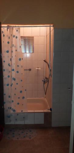 y baño con ducha, bañera y cortina de ducha. en Pamacs Apartman, en Szolnok