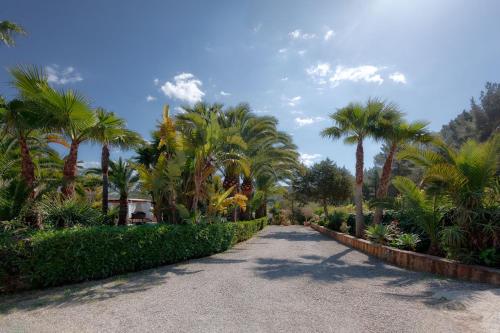 Κήπος έξω από το CAN TEO - Holiday Villa in Ibiza