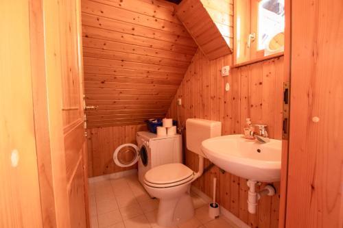 uma pequena casa de banho com WC e lavatório em River Valley View House em Bohinjska Bistrica