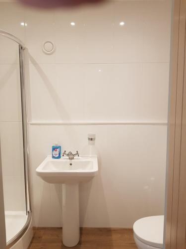 a white bathroom with a sink and a toilet at The New Forest Manor Apartment in Lymington