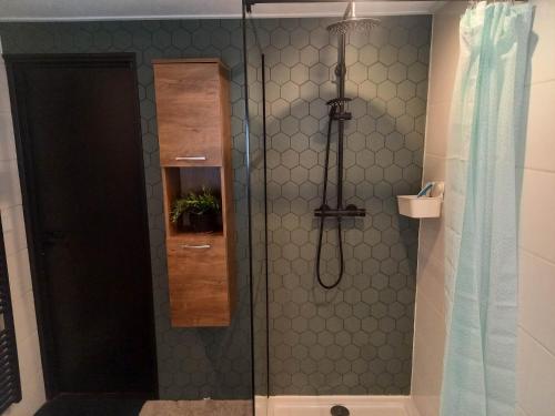 eine Dusche mit Glastür im Bad in der Unterkunft Vakantiechalet Tip 30 op vakantiepark de Heische Tip in Zeeland