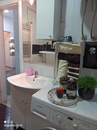a kitchen with a sink and a washing machine at Kavkaz Apartment in Sarajevo