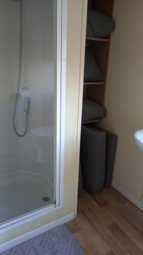 a bathroom with a shower and some stairs at Sea View Caravan Golden Sands Holiday Park in Conwy