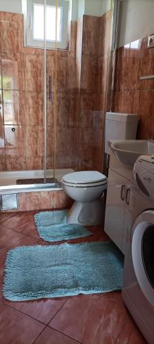 a bathroom with a toilet and a sink and a shower at Apartments Pasta in Poljica