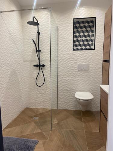 een glazen douche in een badkamer met een toilet bij Maisonnette indépendante avec jardin privatif vue Sainte Baume in Nans-les-Pins