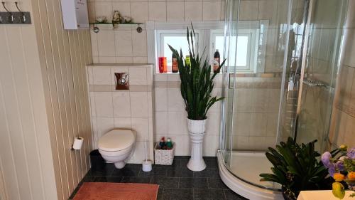 uma casa de banho com um WC e um chuveiro com uma planta em Verningen Apartment em Larvik