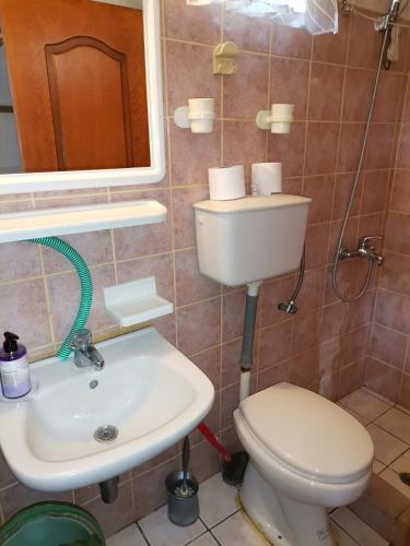 La salle de bains est pourvue de toilettes et d'un lavabo. dans l'établissement Spitaki mou, à Kamena Vourla
