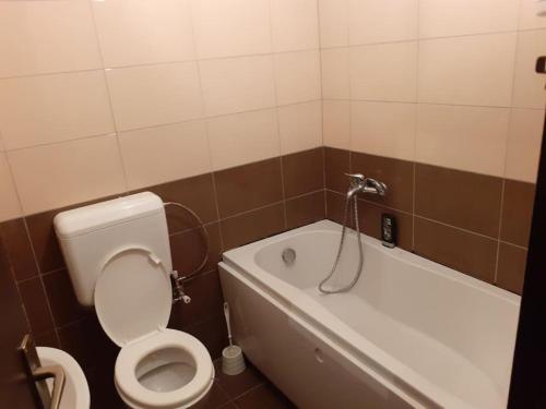 a bathroom with a toilet and a bath tub at Apartment Dastidi in Mitrovicë