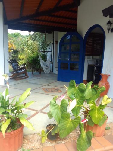 Un jardín fuera de Coffee Mountain Inn