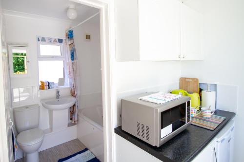 a small bathroom with a microwave on a counter at Krissie's in Marazion