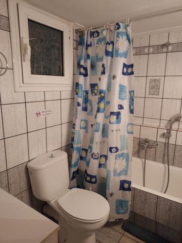 a bathroom with a toilet and a shower curtain at Pasalimani Long Beach in Piraeus