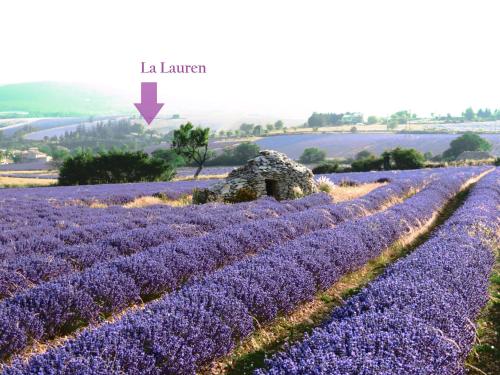 Naturlandskabet i nærheden af pensionatet