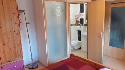 een badkamer met een toilet en een glazen deur bij Pension "Am Schloß" in Lübben