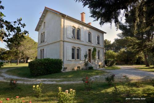 ein altes weißes Haus auf einem Grasfeld in der Unterkunft Un Nid en Camargue in Salin-de-Giraud