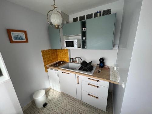 a small kitchen with a sink and a microwave at Résidence Les Milandes in Cazaubon