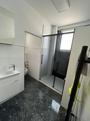 een badkamer met een douche, een wastafel en een toilet bij Sam Apartments LU/Oppau in Ludwigshafen am Rhein