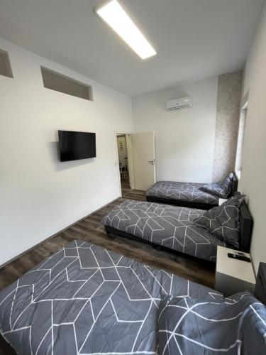 een slaapkamer met 2 bedden en een flatscreen-tv bij Sam Apartments LU/Oppau in Ludwigshafen am Rhein