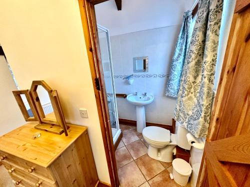 a bathroom with a toilet and a sink at Cedar Barn in Llangwm-isaf