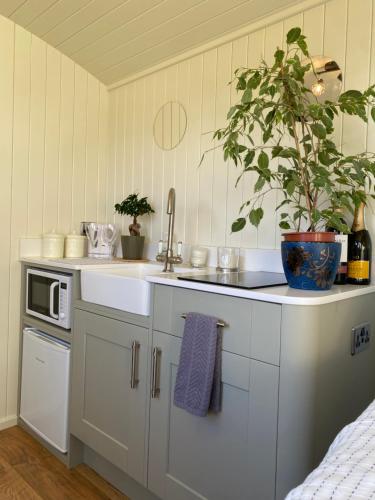 a kitchen with a sink and a plant on the counter at Shepherds Hut, Conwy Valley in Conwy