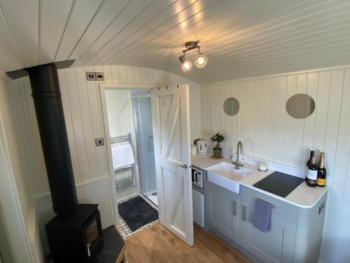 uma cozinha com um lavatório e um fogão em Shepherds Hut, Conwy Valley em Conwy
