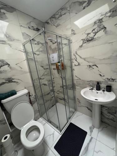 a bathroom with a shower and a toilet and a sink at Top of the Town No.5 in Cootehill