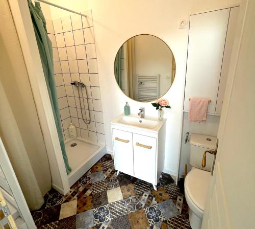 維沃訥的住宿－Studio atypique centre Vivonne，一间带水槽、镜子和卫生间的浴室