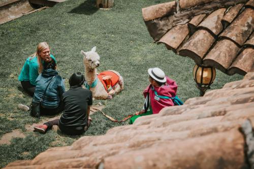 a group of people sitting on the grass with a llama at Comunidad La Moya, Calpi in Riobamba