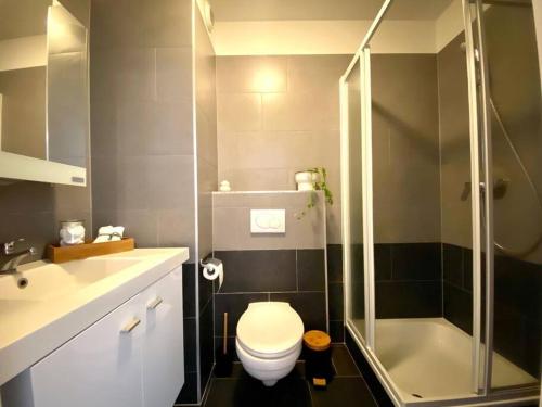 La salle de bains est pourvue de toilettes, d'une douche et d'un lavabo. dans l'établissement Studio hypercentre Bruxelles, à Bruxelles