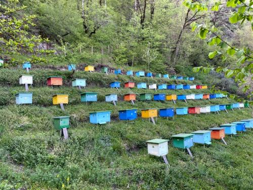 a row of colorful boxes sitting in the grass at Sim Guesthouse in Sım