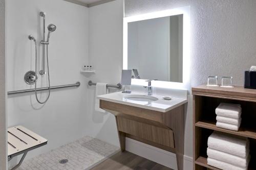 a bathroom with a sink and a shower at Delta Hotels by Marriott Chicago Willowbrook in Willowbrook