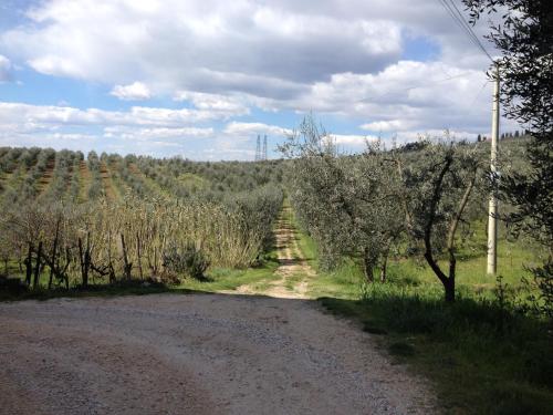 a dirt road in the middle of a field with trees at Agriturismo IL VIAIO in Fiesole