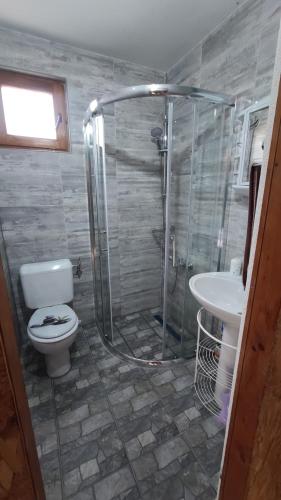 uma casa de banho com um chuveiro, um WC e um lavatório. em UNA-CANYON-PARADISE em Bihać