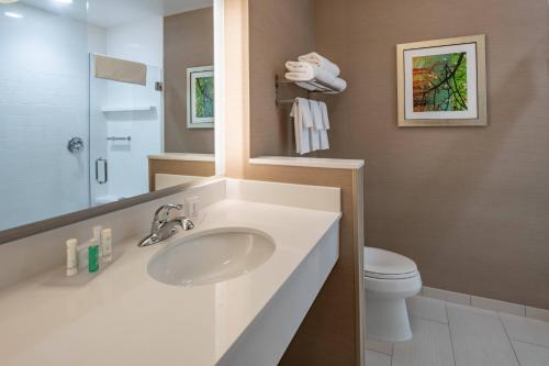 特勒爾的住宿－Fairfield Inn & Suites by Marriott Terrell，一间带水槽、卫生间和镜子的浴室