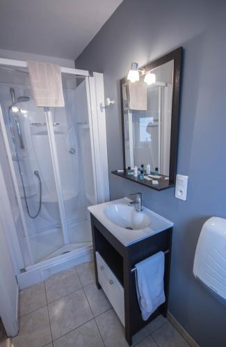 une salle de bain avec un lavabo et une douche dans l'établissement Les chambres touristique Juléa, à Dienville