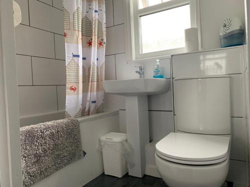 a bathroom with a toilet and a sink and a window at bulldog holidays 244 in Hemsby