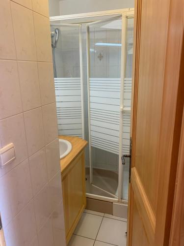 une salle de bain avec douche et lavabo dans l'établissement Les Hermines à Morillon, à Morillon