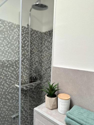 a bathroom with a shower and a plant on a counter at Volme Resort in Banjole