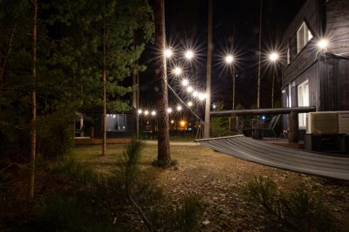 a hammock in a park at night with lights at Reiu Holiday Home in Reiu