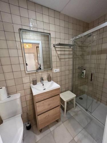 y baño con aseo, lavabo y ducha. en Casa Procurador Triana en Sevilla