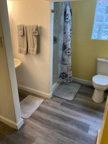 uma casa de banho com um WC e um chuveiro com tapetes. em Unique 3 Bedroom 2 bath brick duplex Private parking em Cincinnati