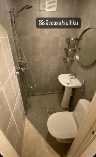 a bathroom with a toilet and a sink at Villa Oiva in Ylihärmä