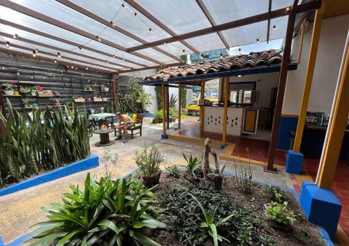 an outdoor patio with plants and a pergola at Hostal Ciudad de Segorbe in Salento
