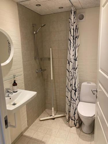 een badkamer met een douche, een toilet en een wastafel bij Mejrup Bed and Breakfast in Holstebro