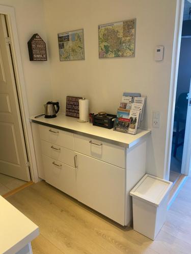 a kitchen with a counter top with books on it at Mejrup Bed and Breakfast in Holstebro